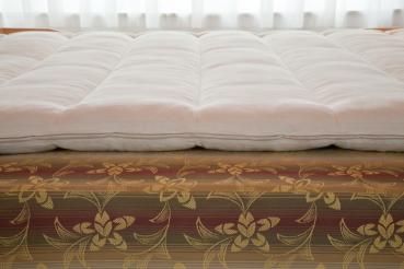 Preview: Moosburger Rosshaar-Matratzenauflage MA-RS